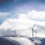 Help the Environment By Going Organic